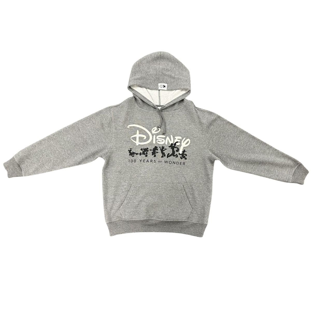 Disney 100 Years of Wonder Silo Hoodie Sweaters Adults Unisex Grey
