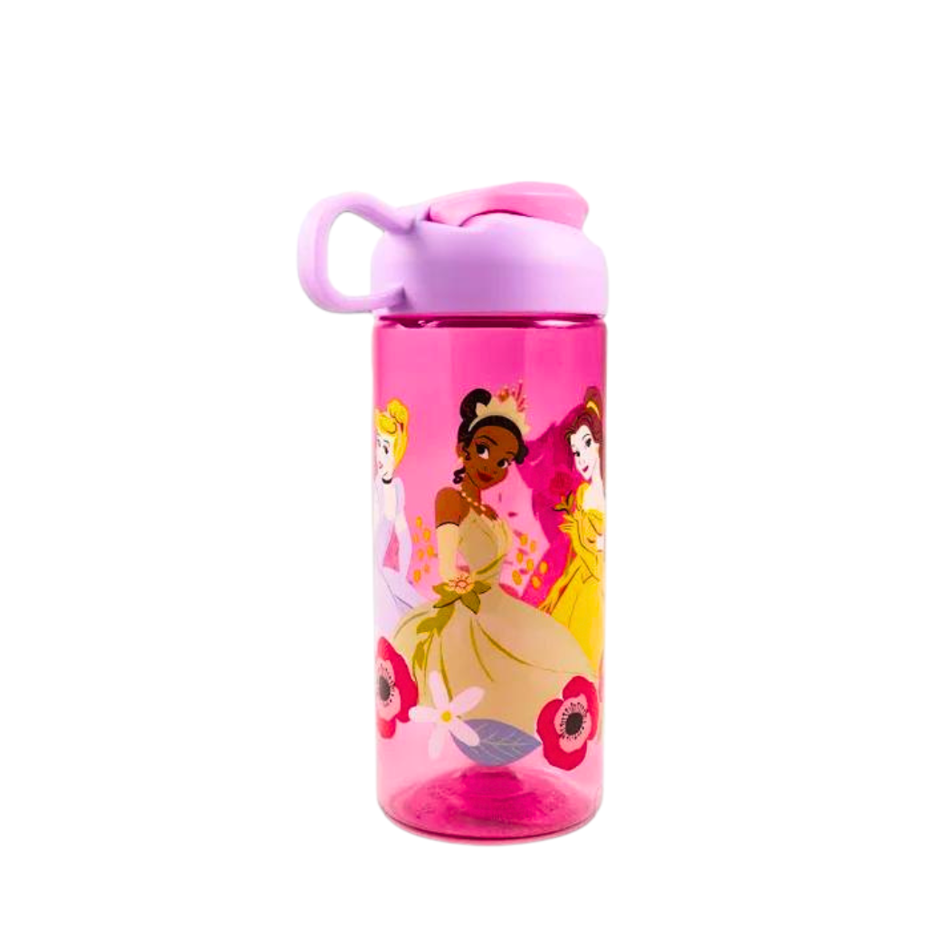 Disney Princess Water Bottle Bundle