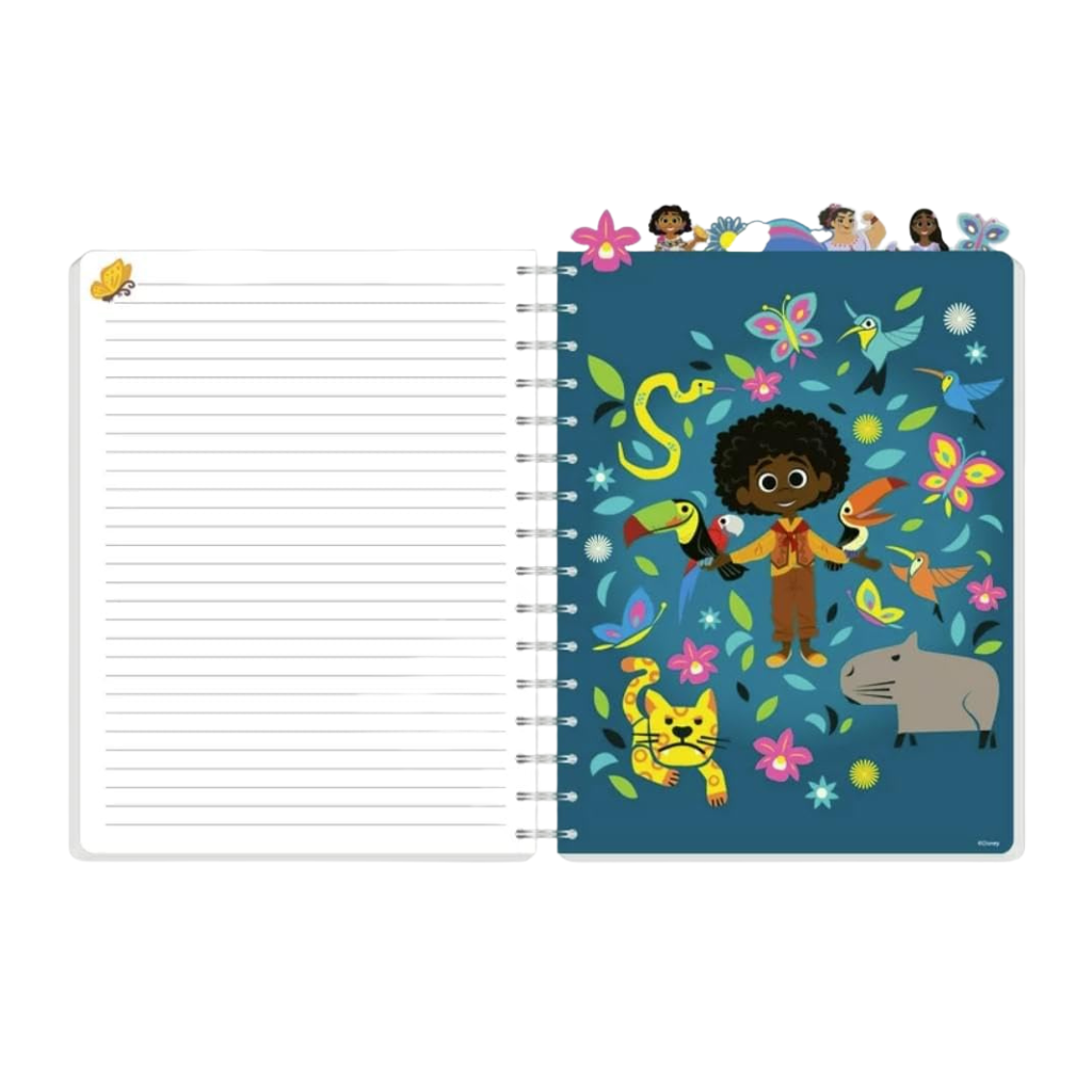 Disney Encanto Tab Journal