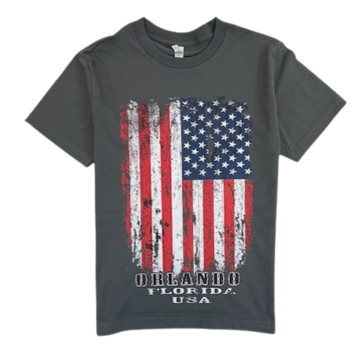 Orlando Florida USA Flag Men's Distressed T-Shirt