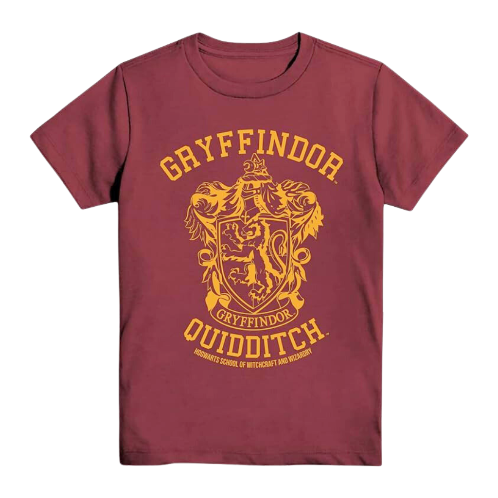 Harry Potter Gryffindor Quidditch Boys Youth T-Shirt