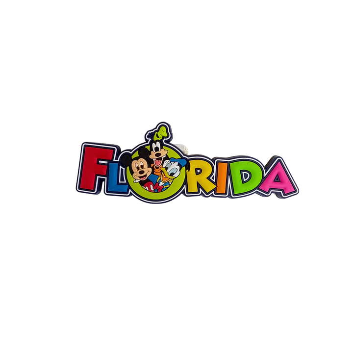 Florida Disney Style Souvenir Magnet